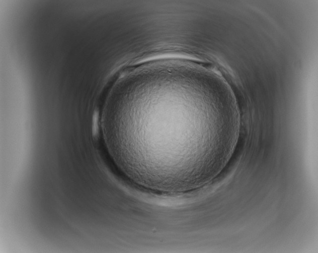 X0000113070024200908281204