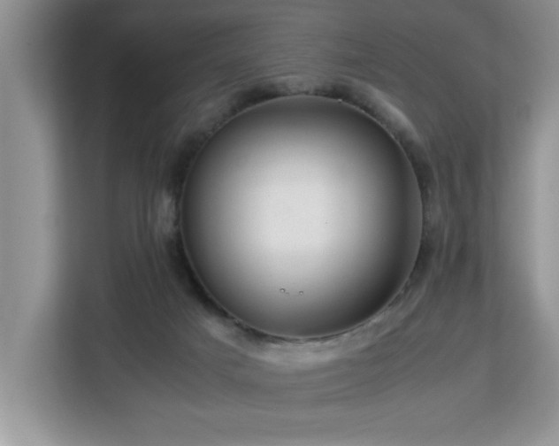 X0000113070025200908281204