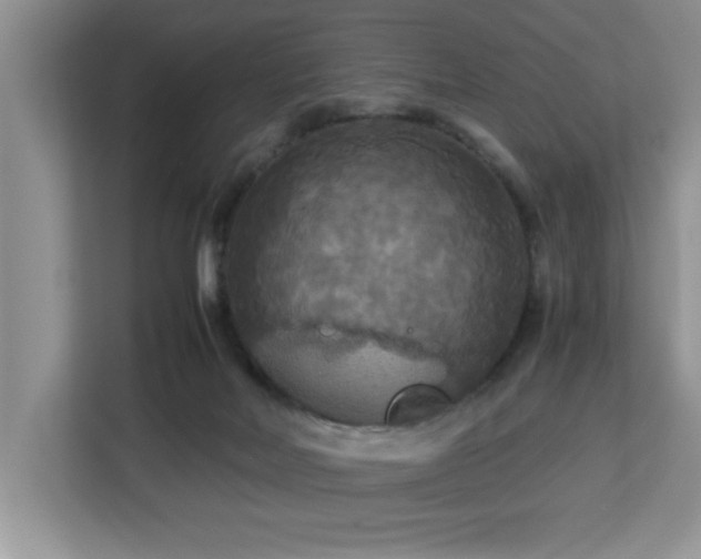 X0000113070026200908281204