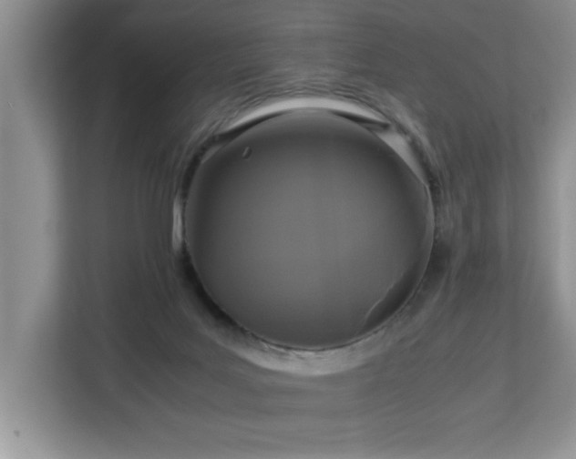 X0000113070027200908281204