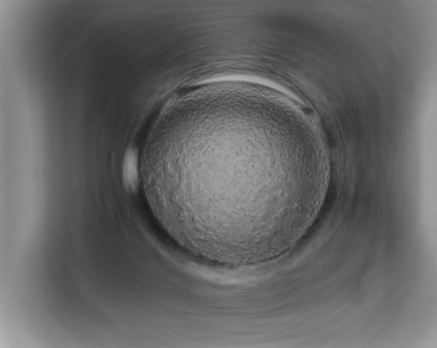 X0000113070028200908281204