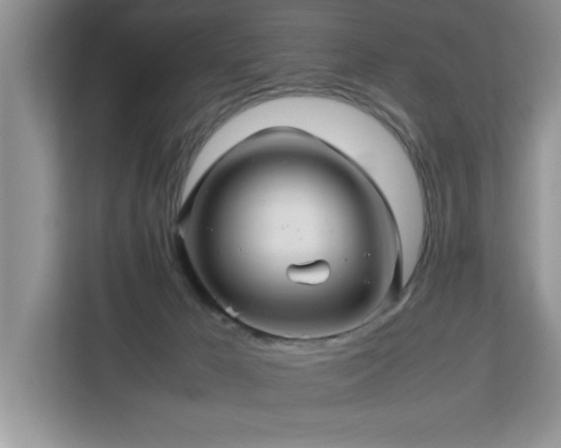 X0000113070029200908281204