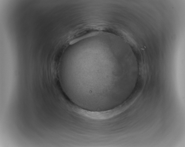 X0000113070030200908281203