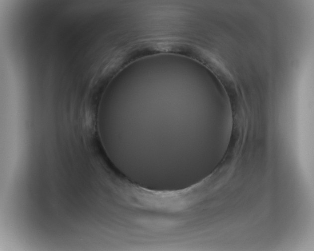 X0000113070031200908281203