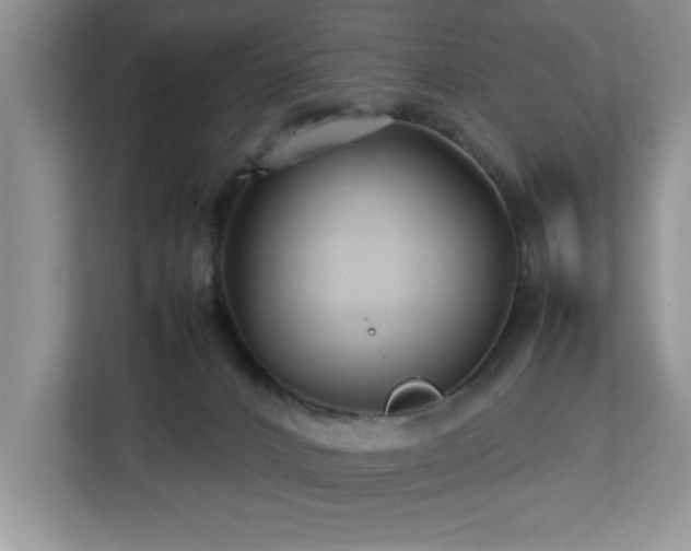 X0000113070032200908281203