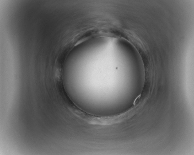 X0000113070033200908281203