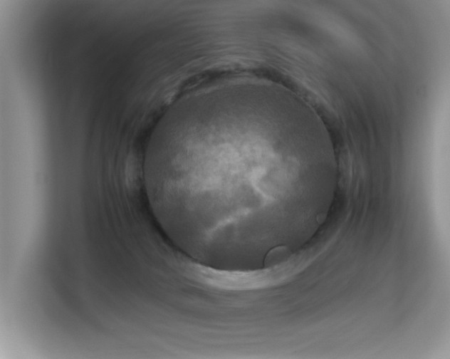 X0000113070034200908281203