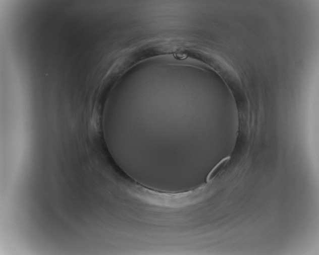 X0000113070035200908281203