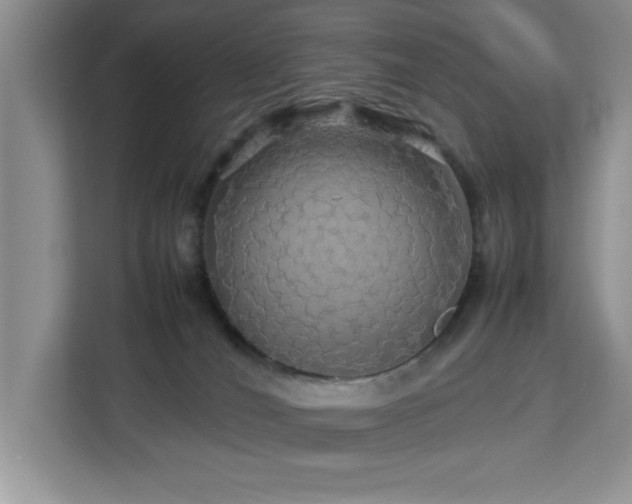 X0000113070036200908281203