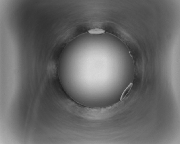 X0000113070037200908281203