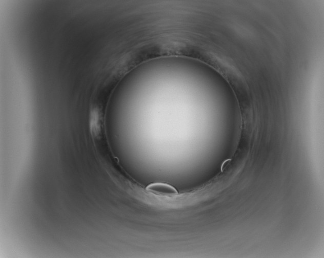 X0000113070038200908281203