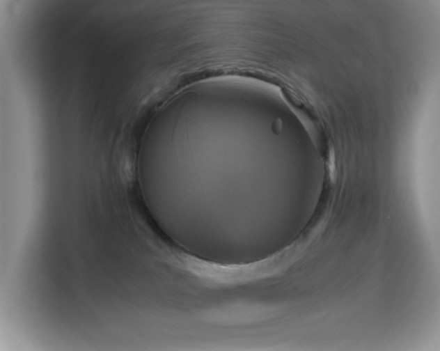 X0000113070039200908281203