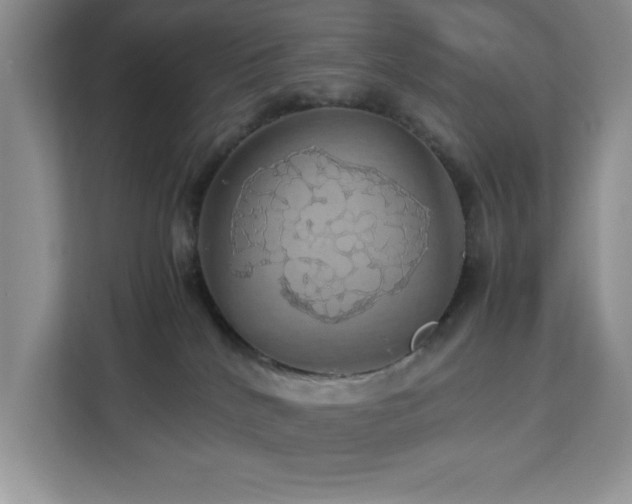 X0000113070040200908281203