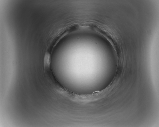 X0000113070041200908281203