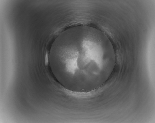 X0000113070042200908281203