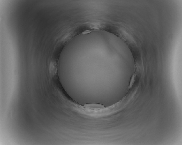 X0000113070043200908281203