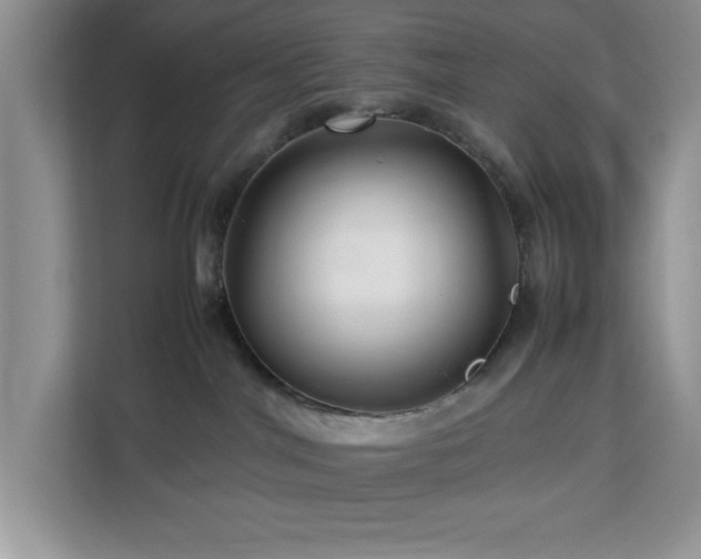 X0000113070044200908281203