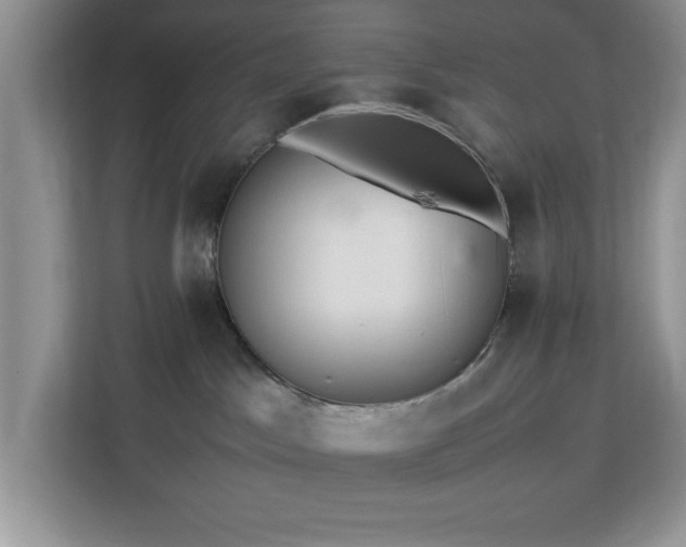 X0000113070045200908281203