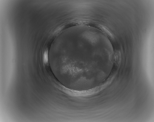 X0000113070046200908281203