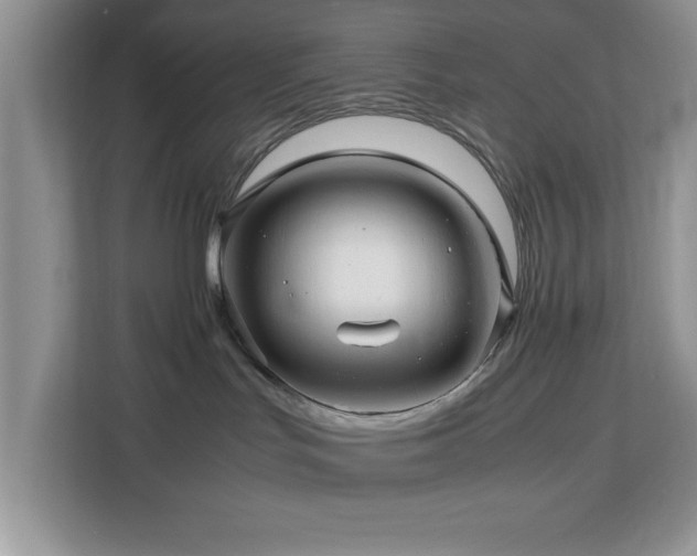 X0000113070047200908281203