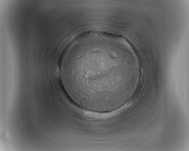 X0000113070048200908281203