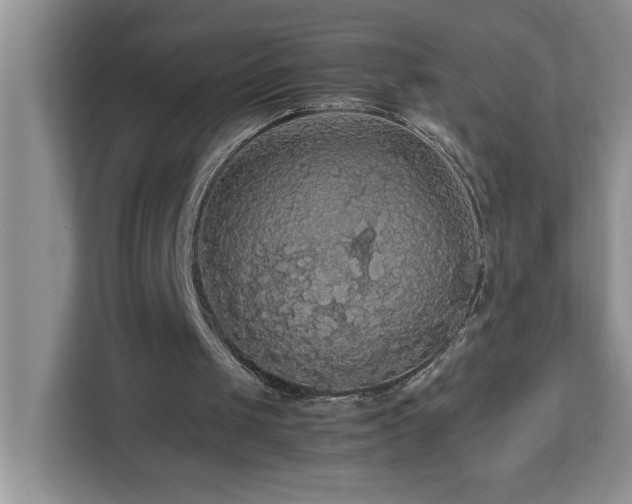 X0000113070049200908281202