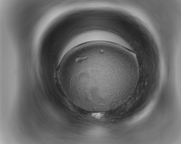 X0000113070050200908281202