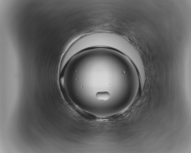 X0000113070052200908281202