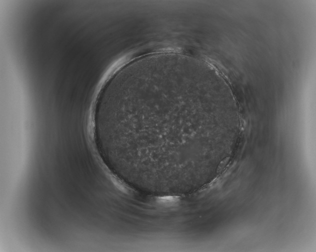 X0000113070053200908281202