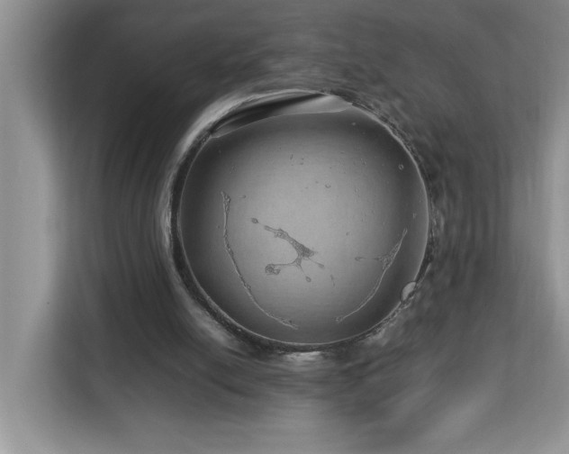 X0000113070054200908281203