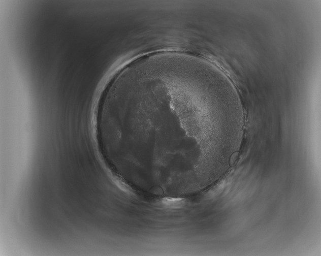 X0000113070055200908281203