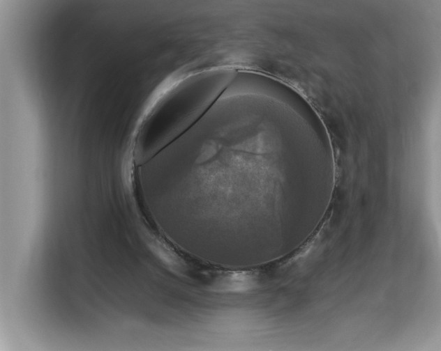 X0000113070056200908281203