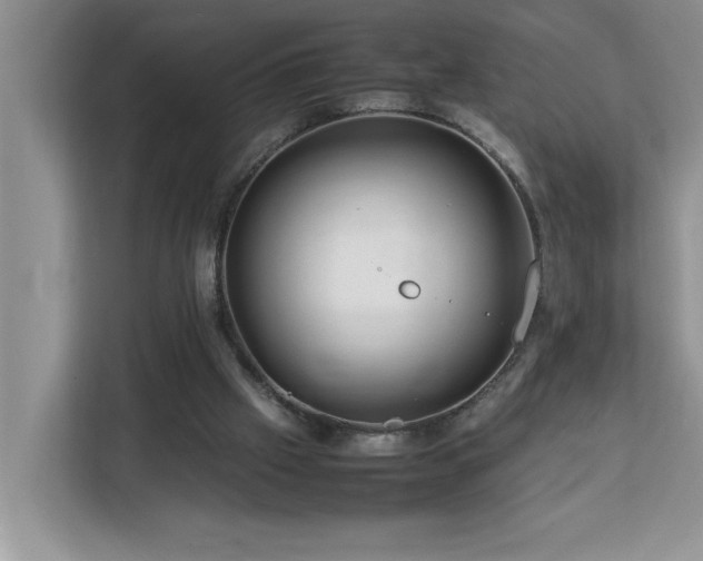 X0000113070057200908281203