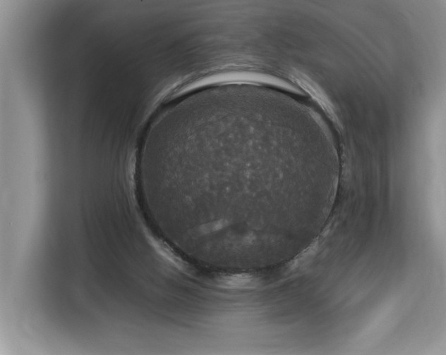 X0000113070058200908281203