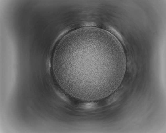 X0000113070059200908281203