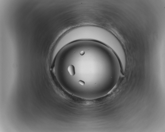 X0000113070060200908281203