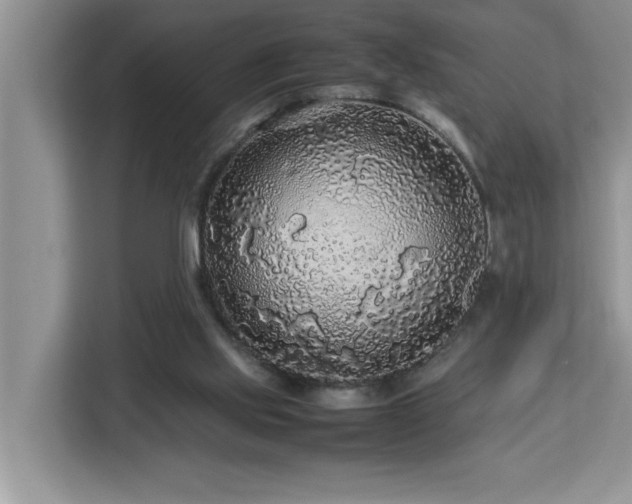 X0000113070061200908281203