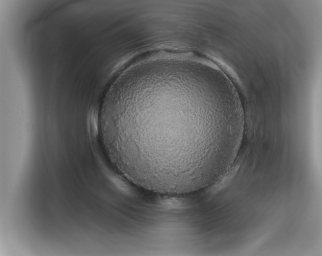 X0000113070062200908281203