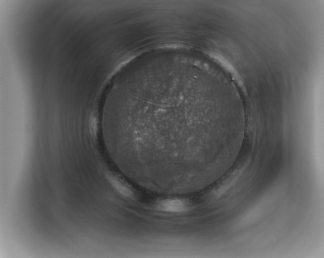 X0000113070063200908281203