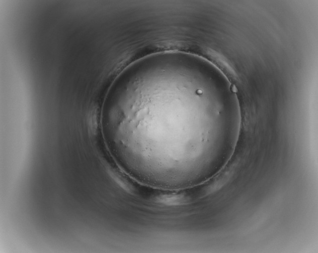 X0000113070065200908281203