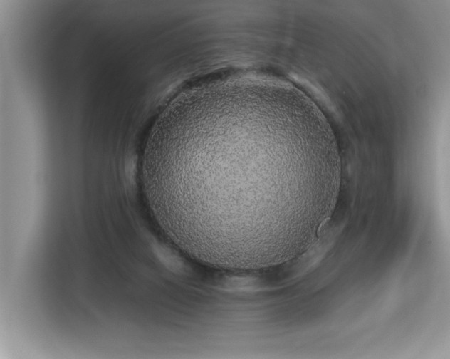 X0000113070066200908281203