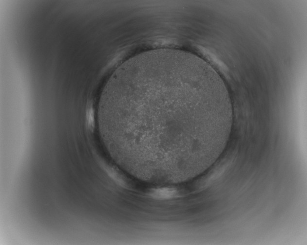 X0000113070067200908281203