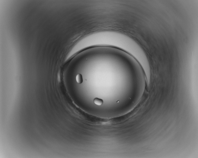 X0000113070068200908281203