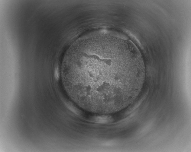 X0000113070069200908281203