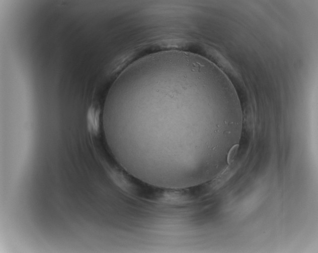 X0000113070070200908281203