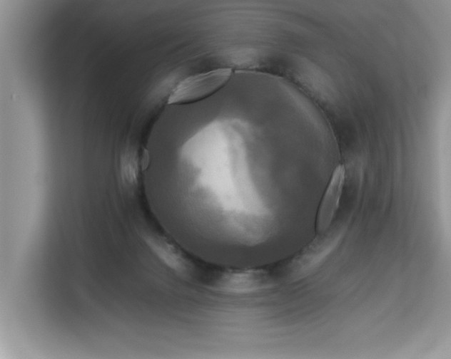 X0000113070072200908281203