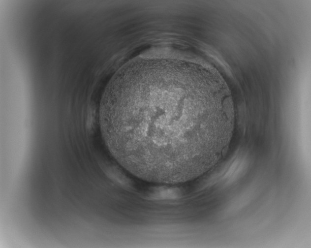 X0000113070073200908281203