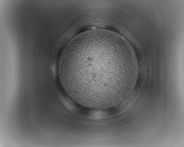 X0000113070074200908281203