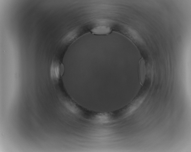 X0000113070076200908281203