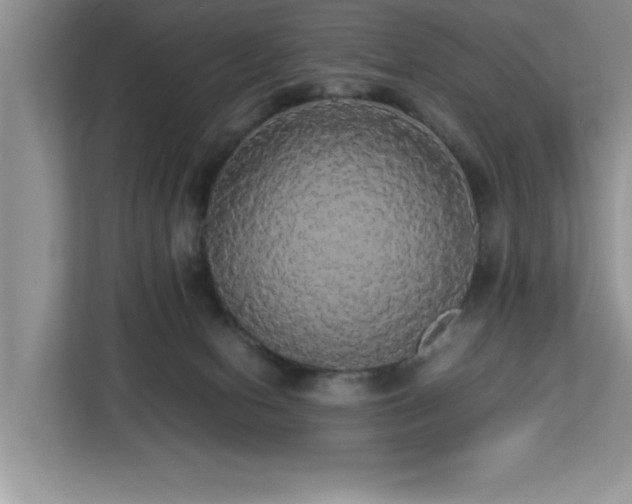 X0000113070078200908281203